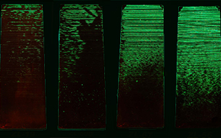 AMS 2644 Penetrant Sensitivity Levels