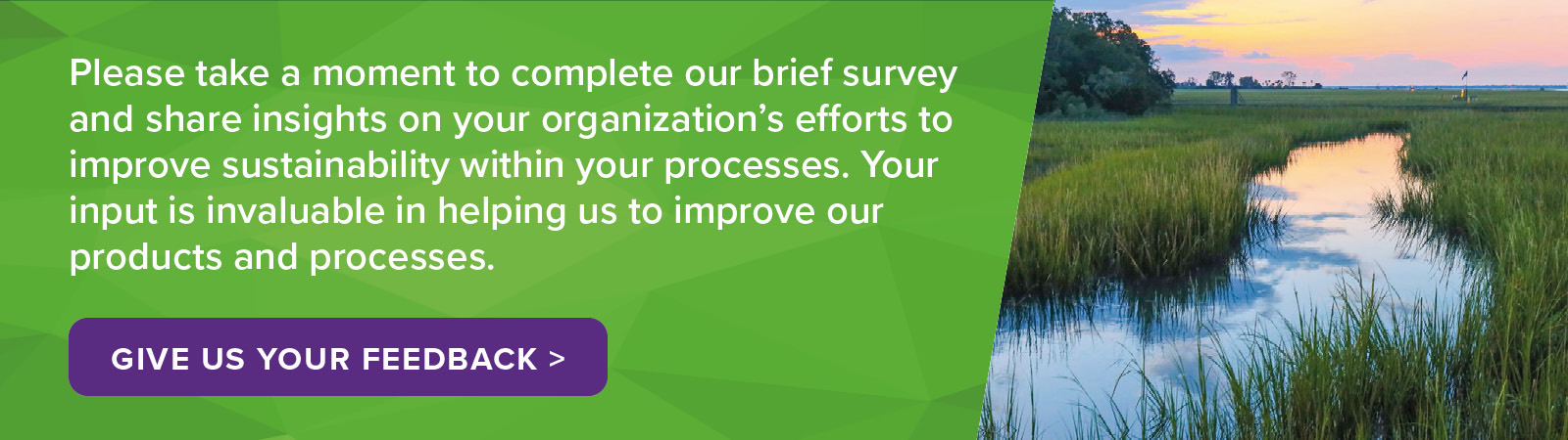 Give us your feedback
